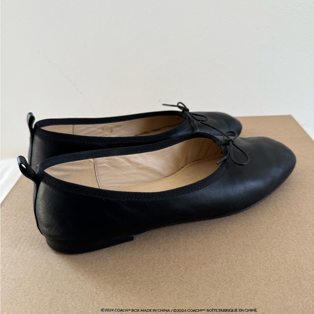 Everlane The Ballet Flats Size 8 - Picture 3 of 14